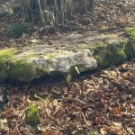 1 Grac (Crna Gora, autor Omer Kalač)